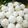 Cooksnap dari Hikma Nulhayat untuk resep Almond cheese snow ball ala dapoer_hn