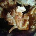 Cooksnap dari Roainah Rahman untuk resep Mandai goreng