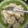 Cooksnap dari Diah Perwita Mustikawati untuk resep Pentol Corah Khas Madiun