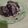 El cooksnap de Miriam Ely cuando hizo Brownies Mortales.