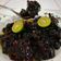 Cooksnap Muhammad Azreen semasa beliau membuat Tulang biri biri masak hitam 'kante' #KCHUP.