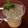 thakkarmansi's cooksnap of when they made લીંબુ નું શરબત (Limbu Sharbat Recipe In Gujarati).