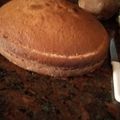 El cooksnap de amelia cuando hizo Bizcochuelo de aceite con trozos de manzanas.