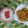 Cooksnap dari UmmuHa-Sa untuk resep Combro