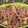 Cooksnap dari Rabiatul Munawarah untuk resep Beef Teriyaki