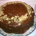 breadnnbutter's cooksnap of when they made sunshines cocoa cake.
