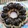 Cooksnap dari Fitriyana Winarno untuk resep Choco Oreo Pudding