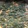 Cooksnap dari mrs.irwan untuk resep Sayur Daun Singkong Teri Jengki