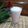 Cooksnap dari Sari's Kitchen untuk resep Strawberry Smoothies