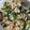 Cooksnap dari Kartika Sw untuk resep Trancam Sayur