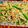 Naheed Baig's cooksnap of when they made Chicken 🐔 Chowmein🍜.