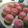 Cooksnap dari maya puspa untuk resep Bolu kukus mawar