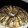 El cooksnap de Angie Escalzer cuando hizo Rosca de pascua rellena de dulce de leche.