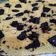Cooksnap dari Mamah Eka untuk resep Sponge cake (tanpa emulsifier)