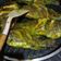 Cooksnap dari Melisa veronica untuk resep 76. Ikan Nila Marinasi Bumbu Kuning (Siap Goreng/Bakar)
