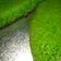 Cooksnap dari Kirana Lesmana untuk resep Bika ambon pandan teflon (no mixer)
