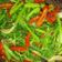 Cooksnap dari C untuk resep Tumis bayam kres...kres cabai merah