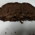 El cooksnap de Mis recetas saludables cuando hizo Bizcocho de avena, algarroba y coco.