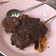 Cooksnap dari Yesy Gayatry Harrian untuk resep Rendang Daging Bumbu Instant