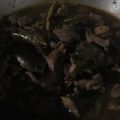 Cooksnap dari Khaerudin Cah Kendal untuk resep Tongseng Daging Kambing Nan Empuk
