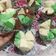 Cooksnap dari Rhia Nugraha untuk resep Bolu Kukus Mekar Mereka Sprite Anti Gagal