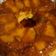 El cooksnap de claudia perez cuando hizo Budin de Pan con Manzanas!!.