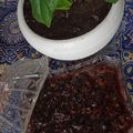 کوک اسنپ زینب بانو بعد از امتحان کردن انار پته (خمس انگور یا مربای انگور).
