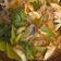 Cooksnap dari adete untuk resep Sop Ala Soondubu Jjigae