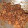 Cooksnap dari Anggia Hapsari untuk resep Sambal Goreng Ati Ampela