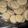 El cooksnap de Kathy cuando hizo Alfajores de maicena.