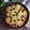 El cooksnap de Salma cuando hizo Pizza 3 quesos con arándanos.