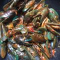 Cooksnap dari Rezkita PG untuk resep Kerang hijau saos padang