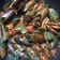Cooksnap dari Rezkita PG untuk resep Kerang hijau saos padang