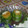 El cooksnap de Denis cuando hizo Zapallitos verdes con caballas y queso.