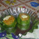 El cooksnap de Denis cuando hizo Zapallitos verdes con caballas y queso.
