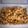 Uroosa Rahim Dokra's cooksnap of when they made Boiled Channy(ChickPeas).