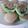 Cooksnap dari Indah Wati untuk resep Bolu Kukus Pandan Moka