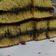 Cooksnap dari Melly untuk resep Martabak teflon 2