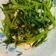 張雅芸 的 空心菜炒好菇道 cooksnap
