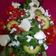 El cooksnap de isa24 cuando hizo Ensalada de skyrella con tomates y aguacate.