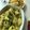 Yummylicous😋's cooksnap of when they made Schwäbisch Maultaschen (Big, Fat German 