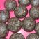 Cooksnap dari SHLink untuk resep Gojin isian mooncake