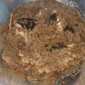 Cooksnap dari Queen Hemas👸 untuk resep Rendang Sapi