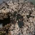 Cooksnap dari Rachmi Handayani untuk resep Brownies panggang