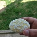 El cooksnap de Sol Frade cuando hizo Cookies de limón 🍋♥️.
