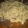 El cooksnap de Cintia cuando hizo Tallarines caseros.