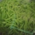 Cooksnap dari Roanah Anah untuk resep Dawet Ayu