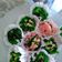 Cooksnap dari diana mayasari untuk resep Bolu Kukus Semangka Ala-Ala (1 Telur, SP, No Soda)