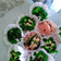 Cooksnap dari diana mayasari untuk resep Bolu Kukus Semangka Ala-Ala (1 Telur, SP, No Soda)