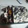 El cooksnap de NOELIA ALVAREZSABIO cuando hizo Torta Selva Negra.